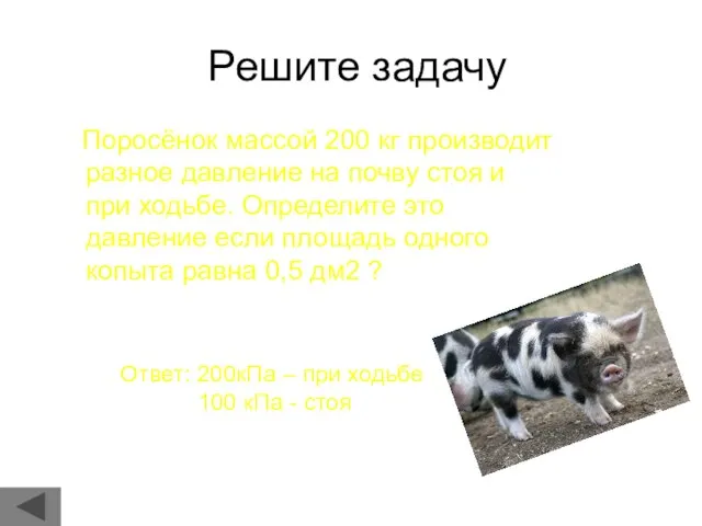 Решите задачу Поросёнок массой 200 кг производит разное давление на почву стоя