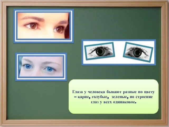 Глаза у человека бывают разные по цвету – карие, голубые, зеленые, но