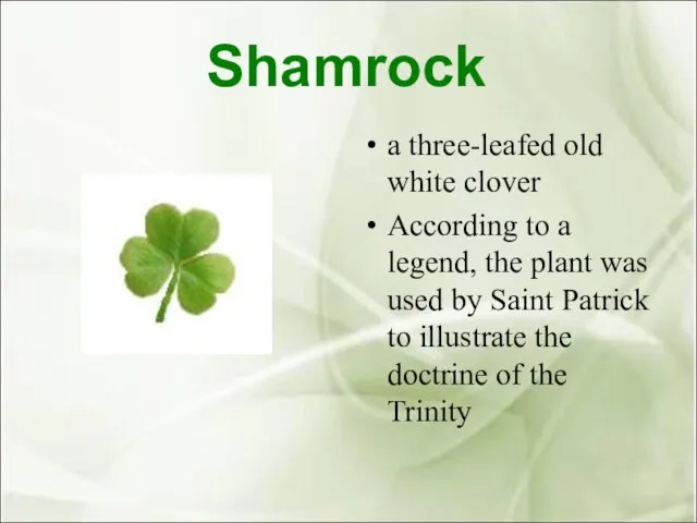 Shamrock a three-leafed old white clover According to a legend, the plant