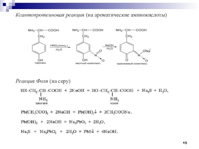 Ксантопротеиновая реакция (на ароматические аминокислоты) Реакция Фоля (на серу)