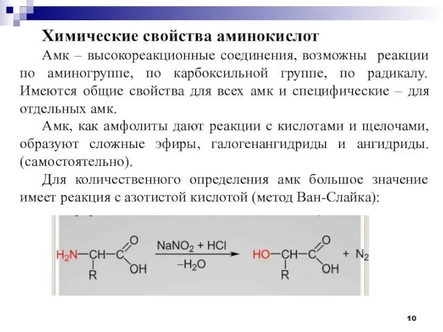 Химические свойства аминокислот Амк – высокореакционные соединения, возможны реакции по аминогруппе, по