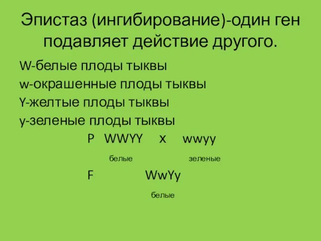 Эпистаз (ингибирование)-один ген подавляет действие другого. W-белые плоды тыквы w-окрашенные плоды тыквы