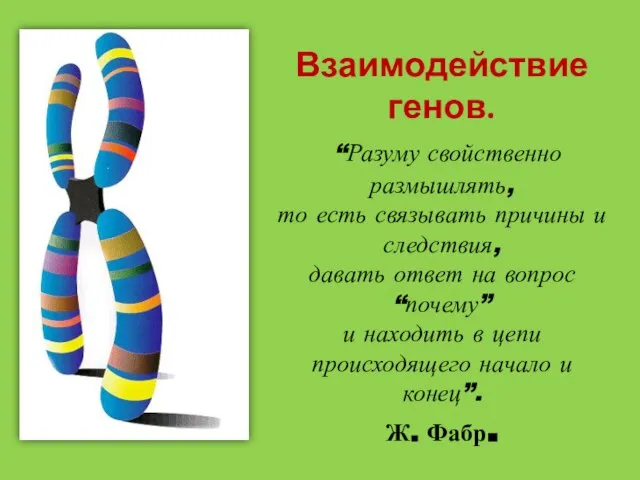 Взаимодействие генов. “Разуму свойственно размышлять, то есть связывать причины и следствия, давать