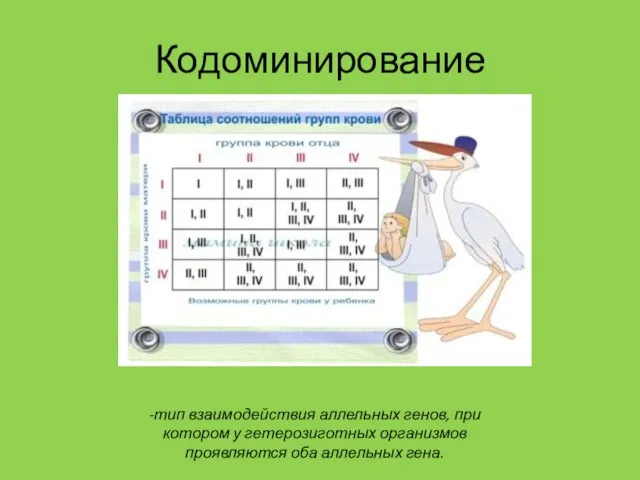 Кодоминирование -тип взаимодействия аллельных генов, при котором у гетерозиготных организмов проявляются оба аллельных гена.