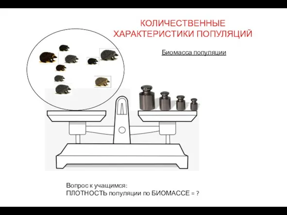 КОЛИЧЕСТВЕННЫЕ ХАРАКТЕРИСТИКИ ПОПУЛЯЦИЙ Биомасса популяции Вопрос к учащимся: ПЛОТНОСТЬ популяции по БИОМАССЕ = ?