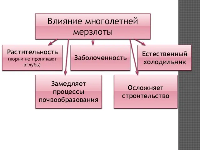 Влияние многолетней мерзлоты Растительность (корни не проникают вглубь) Заболоченность Естественный холодильник Замедляет процессы почвообразования Осложняет строительство