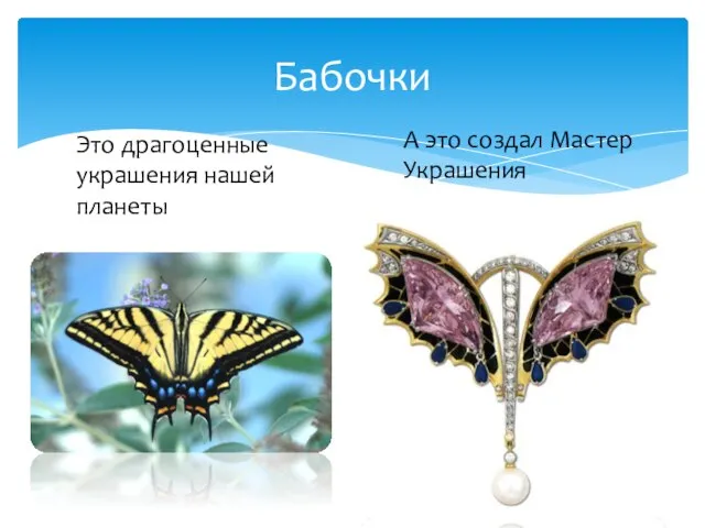 Бабочки А это создал Мастер Украшения Это драгоценные украшения нашей планеты