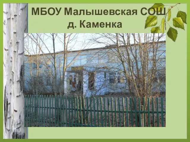 МБОУ Малышевская СОШ д. Каменка