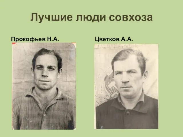 Лучшие люди совхоза Прокофьев Н.А. Цветков А.А.