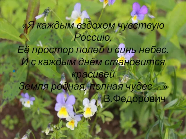 «Я каждым вздохом чувствую Россию, Её простор полей и синь небес. И