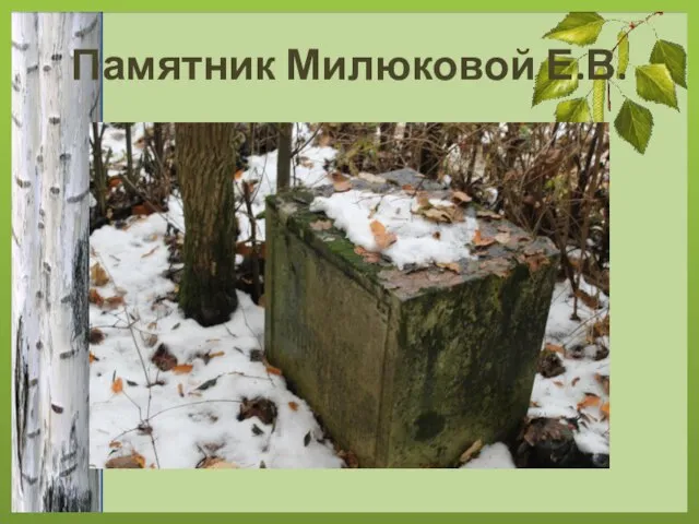 Памятник Милюковой Е.В.