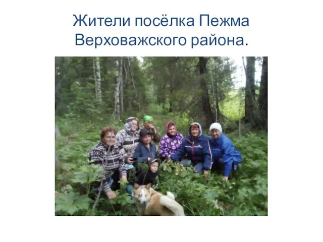 Жители посёлка Пежма Верховажского района.