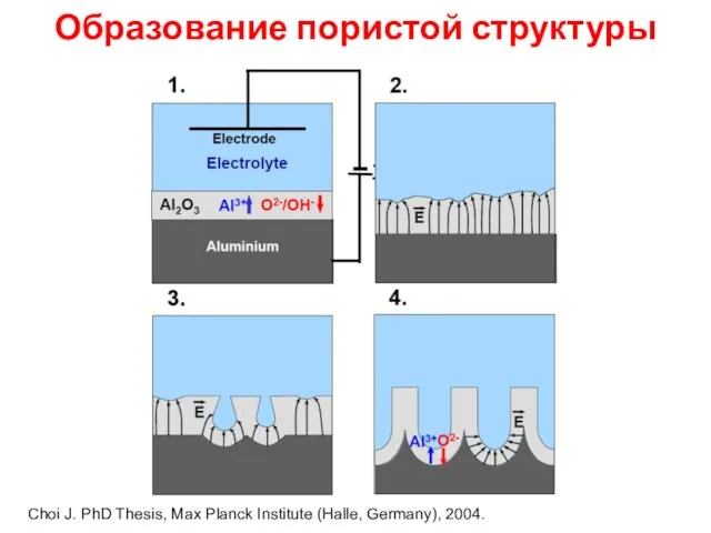 Образование пористой структуры Choi J. PhD Thesis, Max Planck Institute (Halle, Germany), 2004.