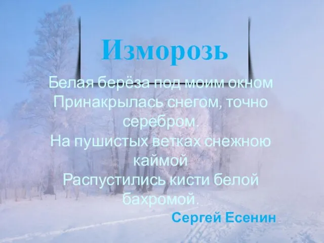 Изморозь Белая берёза под моим окном Принакрылась снегом, точно серебром. На пушистых