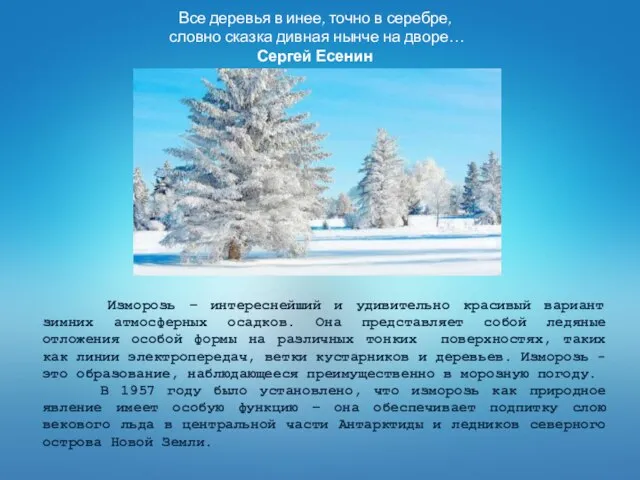 Все деревья в инее, точно в серебре, словно сказка дивная нынче на