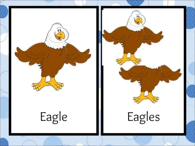 Eagles Eagle
