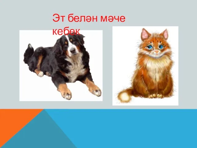 Эт белән мәче кебек