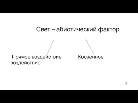 Свет – абиотический фактор Прямое воздействие Косвенное воздействие