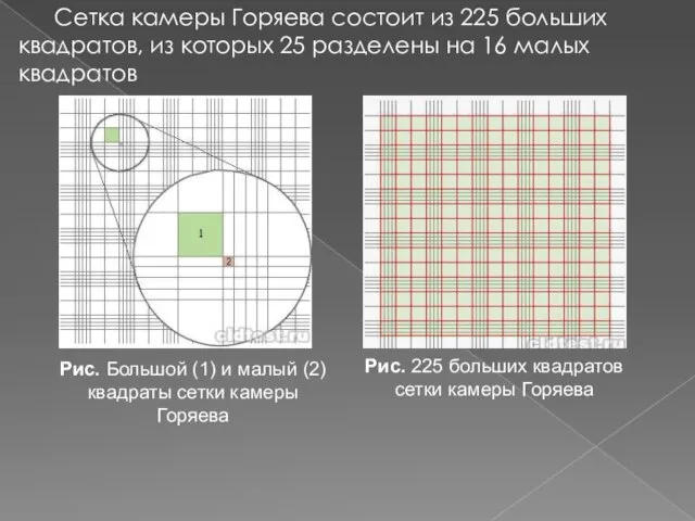 Сетка камеры Горяева состоит из 225 больших квадратов, из которых 25 разделены