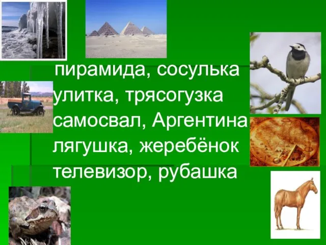 пирамида, сосулька улитка, трясогузка самосвал, Аргентина лягушка, жеребёнок телевизор, рубашка