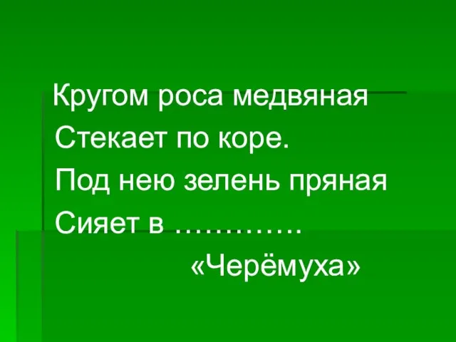 Кругом роса медвяная Стекает по коре. Под нею зелень пряная Сияет в …………. «Черёмуха»