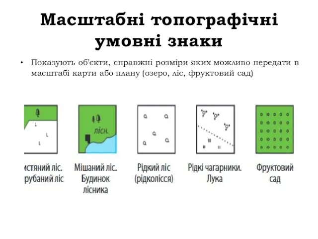 Масштабні топографічні умовні знаки Показують об’єкти, справжні розміри яких можливо передати в