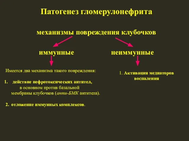 Патогенез гломерулонефрита механизмы повреждения клубочков иммунные неиммунные Имеется два механизма такого повреждения: