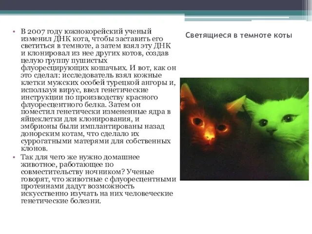 Светящиеся в темноте коты В 2007 году южнокорейский ученый изменил ДНК кота,