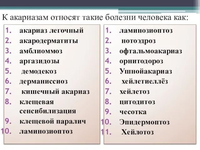 К акариазам относят такие болезни человека как: акариаз легочный акародерматиты амблиоммоз аргазидозы