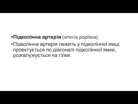 Підколінна артерія (arteria poplitea). Підколінна артерія лежить у підколінної ямці, проектується по