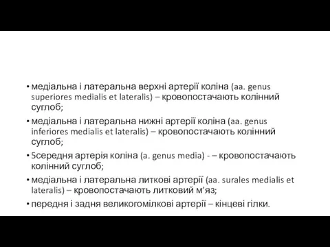 медіальна і латеральна верхні артерії коліна (aa. genus superiores medialis et lateralis)