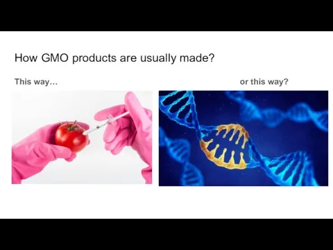 How GMO products are usually made? This way… or this way?