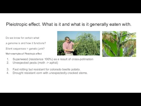 Pleiotropic effect. What is it and what is it generally eaten with.