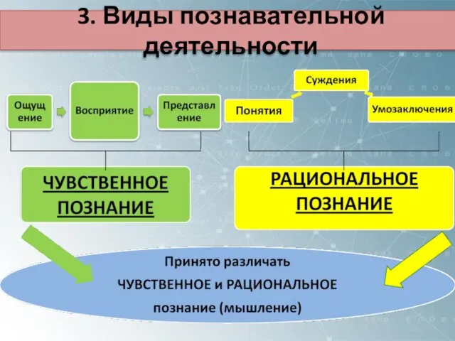 3. Виды познавательной деятельности