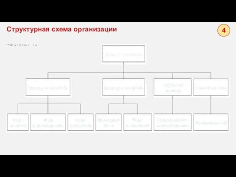 Структурная схема организации 4