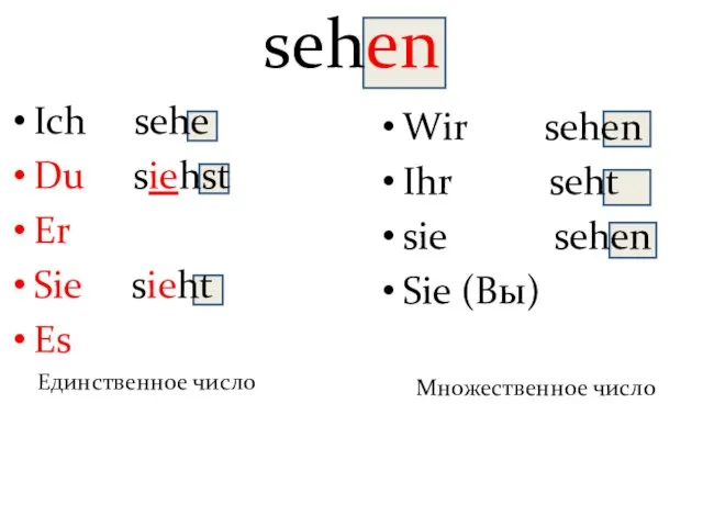 – sehen Ich sehe Du siehst Er Sie sieht Es Единственное число