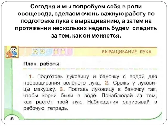 Сегодня и мы попробуем себя в роли овощевода, сделаем очень важную работу