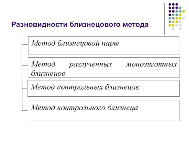 Разновидности близнецового метода