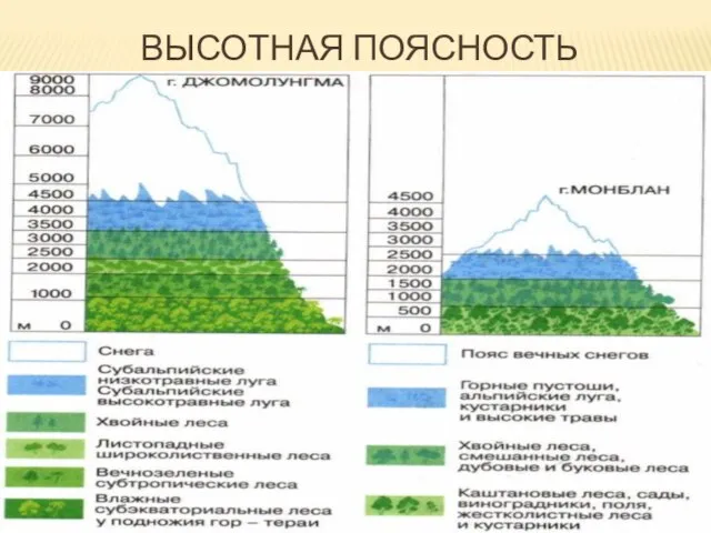 ВЫСОТНАЯ ПОЯСНОСТЬ