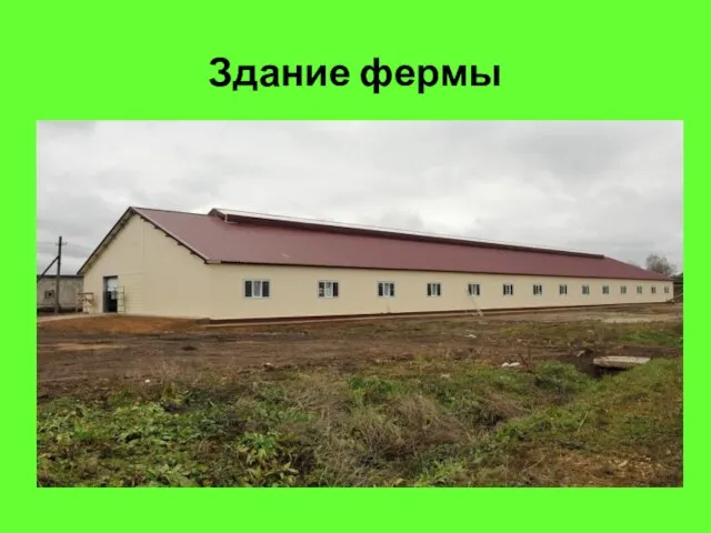 Здание фермы
