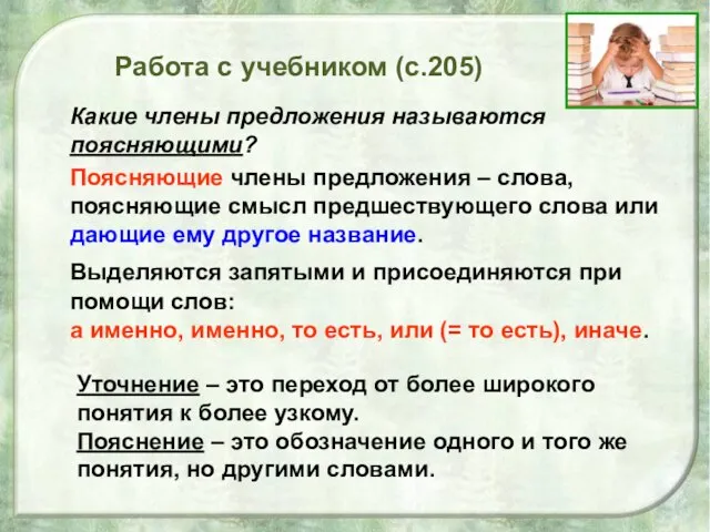 Работа с учебником (с.205) Какие члены предложения называются поясняющими? Поясняющие члены предложения