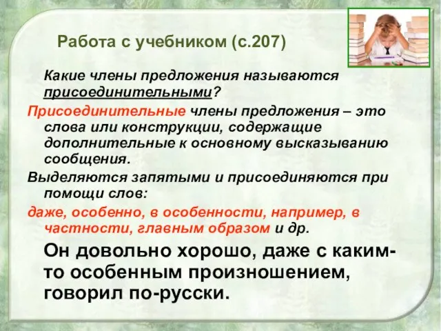 Работа с учебником (с.207) Какие члены предложения называются присоединительными? Присоединительные члены предложения