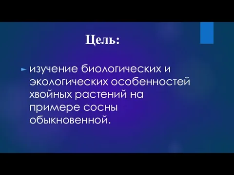 Цель: изучение биологических и экологических особенностей хвойных растений на примере сосны обыкновенной.