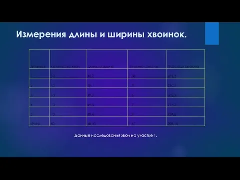 Измерения длины и ширины хвоинок. Данные исследования хвои на участке 1.