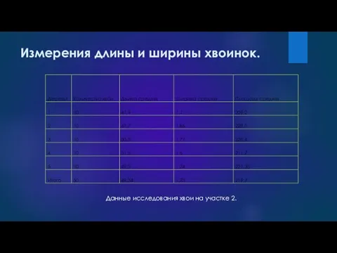 Измерения длины и ширины хвоинок. Данные исследования хвои на участке 2.