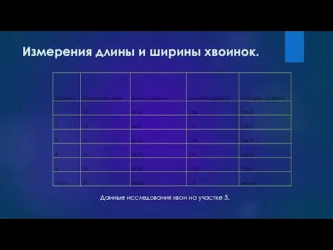 Измерения длины и ширины хвоинок. Данные исследования хвои на участке 3.