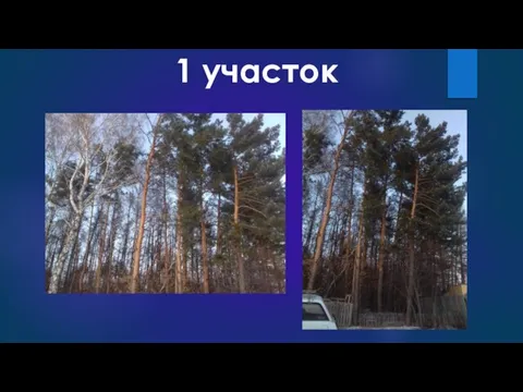 1 участок