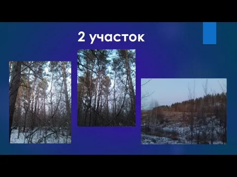 2 участок