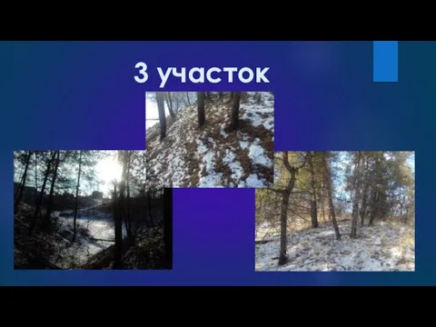 3 участок