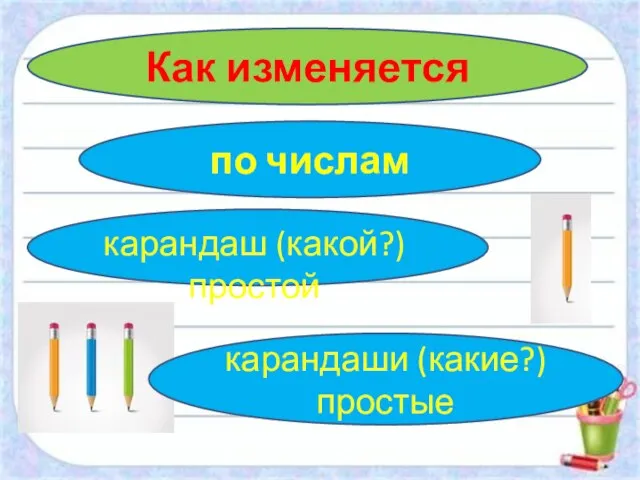 Как изменяется по числам карандаши (какие?) простые карандаш (какой?) простой